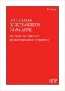 Les cellules de reconversion en Wallonie : politiques de l'emploi et restructurations d'entreprises